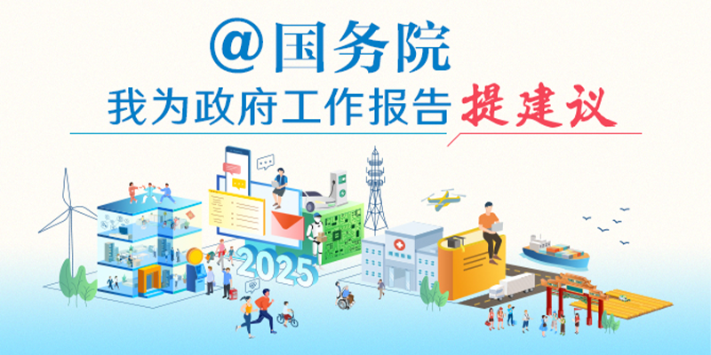 @国务院我为政府事情报告提建议(2025)